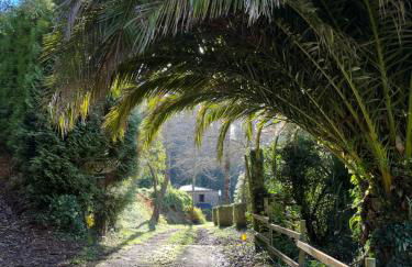 Casa Rural O Vilar - Foto 42