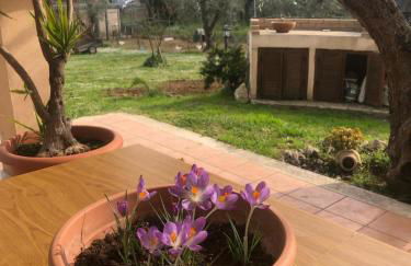 La tana dei Ricci - Foto 3