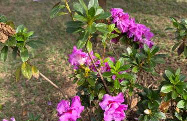 Pousada Renaissance Chalés - Foto 30