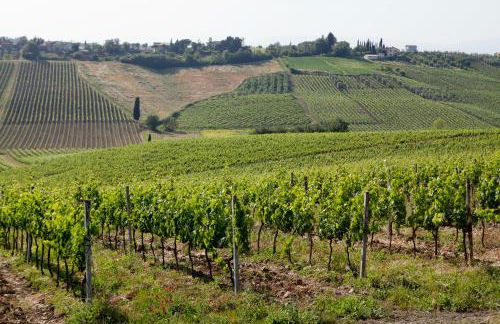 Agriturismo Borgo Vigna Vecchia - Foto 12