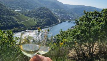 MV Römervilla, Lofts & Penthouses mit traumhaftem Moselpanoramablick und Sauna - Foto 2