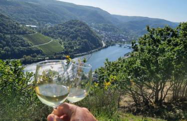 MV Römervilla, Lofts & Penthouses mit traumhaftem Moselpanoramablick und Sauna - Foto 2