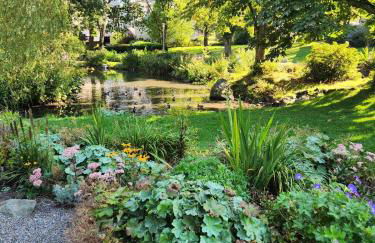 Haus Nina near Willingen and Winterberg - Foto 44