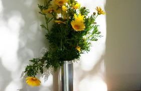 Kalimera Aegina - Foto 38