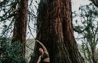 Le Grand Petit Prince - Domaine de Charme - Jacuzzis privatifs - Foto 3