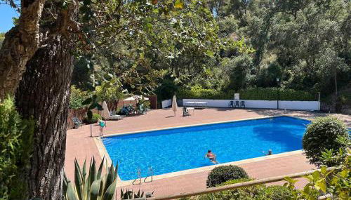 Parc Golfet - Apartamento para 3 con WiFi, AC y Piscina - Foto 1, Garden, sunbed, Garden view, pet friendly
