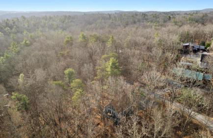 Fireplace Grill Games & Dogs near Bryce Resort - Photo 51