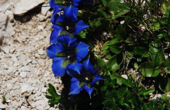 Casa Vacanze La Villa - Foto 28