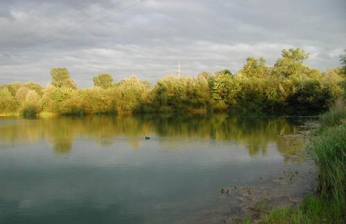 Blockhaus Bayerischer Wald Chalet 2 - Photo 18