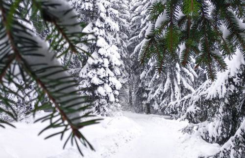 Holiday Home Kuća za odmor LEA - Ravna Gora - Foto 5