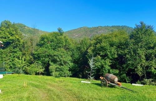 Quinta da Casa Matilde - NATURE HOUSE - Foto 65