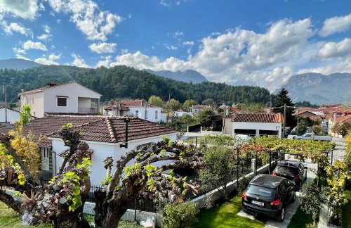 Casa Delicosta- 2 Flat Country house with garden, 15 min from Trikala - Foto 35