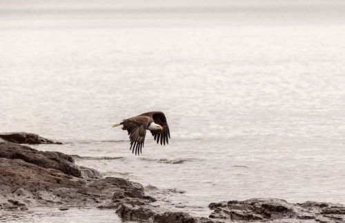Tallens Stuga minutes from Lutsen Mountain - Foto 34