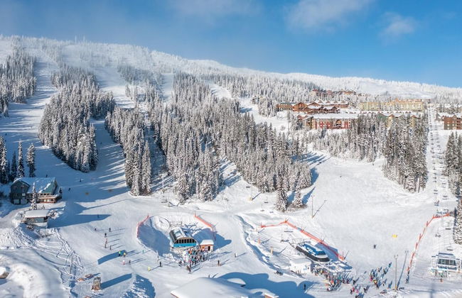 I Spy - Cozy Pet Friendly, Ski In/Ski Out Condo with Private Hot Tub - Photo 17