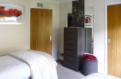 Badgers Rake 12 Squirrels Nest - Foto 9