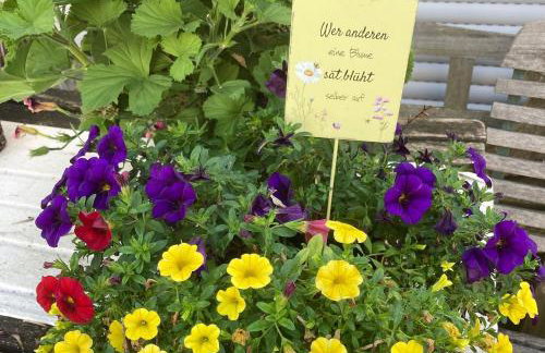 Ferienwohnungen Hubertus - Foto 6