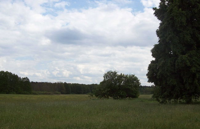 Cozy Holiday Home in Kappe With Balcony - Foto 31