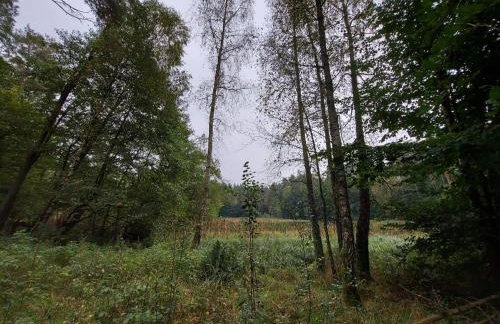 Calm House Krzynia - dom nad jeziorem do wynajęcia - Foto 34