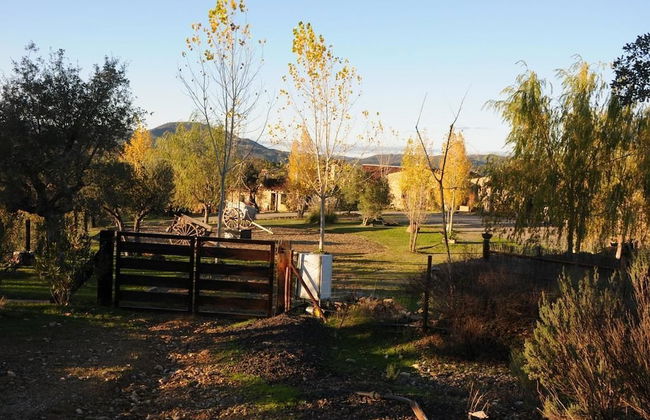 Finca Los Caleros - Photo 29