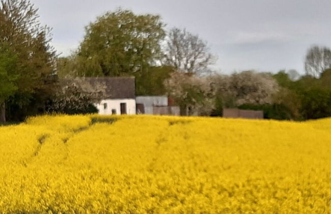 Old Pilot's House - Foto 28