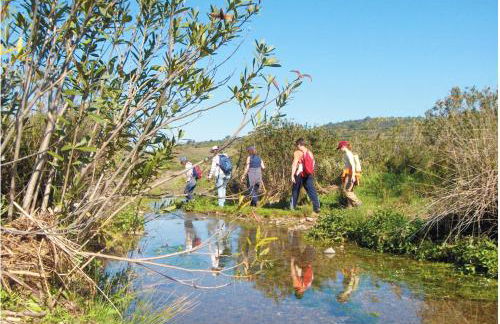 Charming House in Castro Marim with Shared Pool - Foto 14