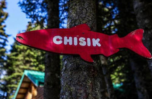 Delightful Waterfront Cabin near the Chugach National Forest, Alaska - Foto 18