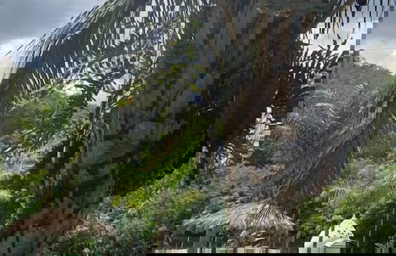 Pousada Chapada dos Veadeiros - Foto 38