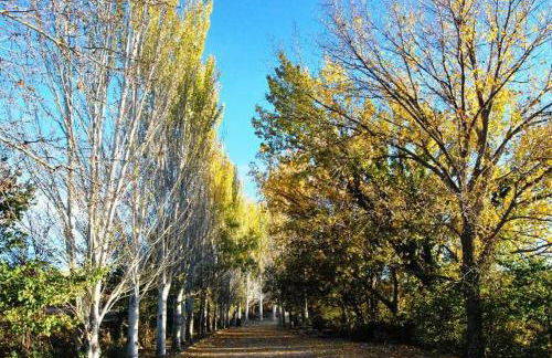 Alma Mudéjar Casa Rural - Photo 42