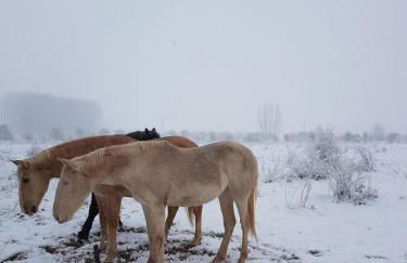 Apartamento LA MONTESA - Foto 64