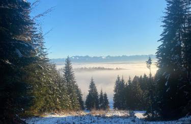 Apartament w górach Gorce - Foto 53