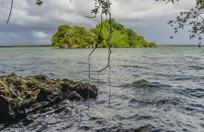 Excursion au Parc National Los Haitises - Photo 2