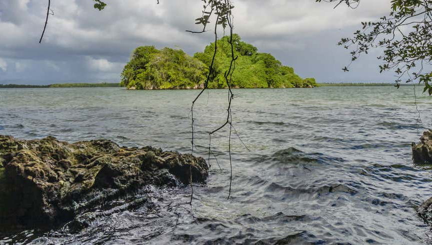 Excursion au Parc National Los Haitises