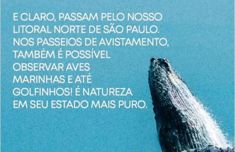 Recanto do Sossego - Foto 70