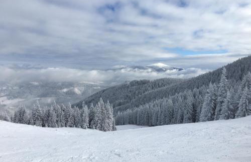 Cerla Korbielów - Domek dla Dwojga - Foto 30