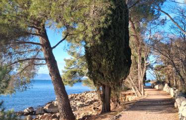 APARTMAN IVONA U PRIZEMLJU - Foto 35