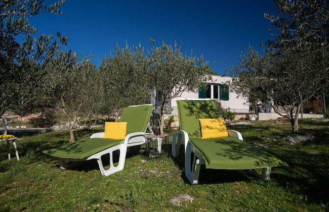 Olive Eden - Foto 35