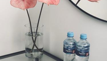 MIO Apartament Sosnowiec - Foto 2