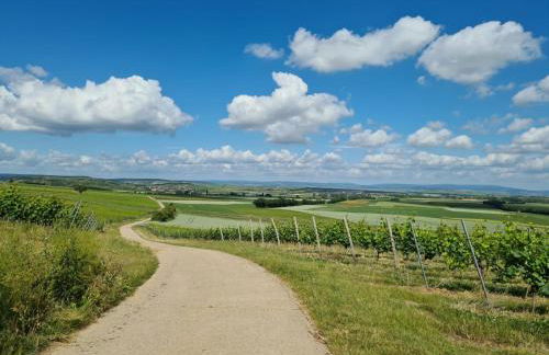 Rheinhessen-Loft - Foto 30