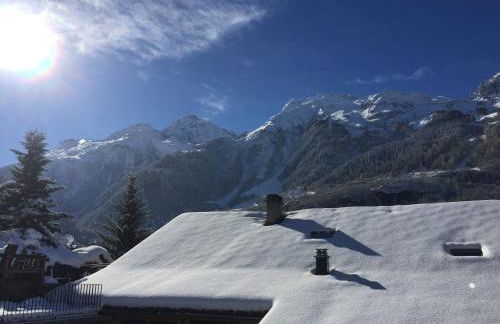 Le petit Saint Bernard - Photo 30