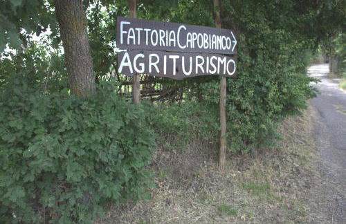 Fattoria Capobianco - Foto 21