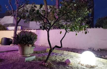 Family apartment Stella Marina - Foto 50