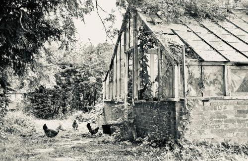 Motts Lodge - Photo 39