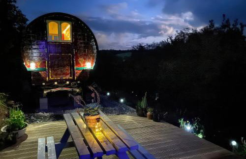 Goldfinch - Photo 15