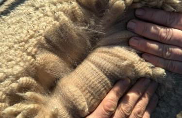 TOP moderne FeWo - Alpakahof zum Himmelreich, traumhafte Lage, Terrasse mit Weitblick, kostenfreier Parkplatz, Nähe Kurklinik, optional Sauna - Foto 26