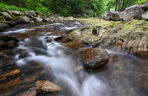 Beautiful Jay Peak Home Near Creek and Waterfalls! - Photo 27