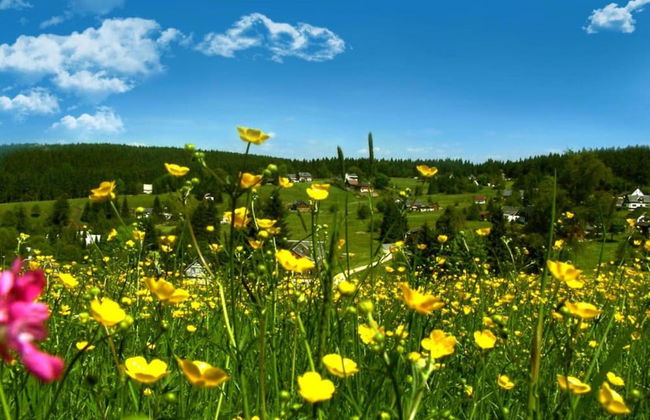 Ferienhaus mit Schwimmbad in Jagersgrun - Foto 35