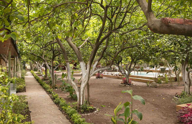 Gayb-i Bungalows by Naturelife , Plus 12 Years Old - Free Access to Beach - Foto 64