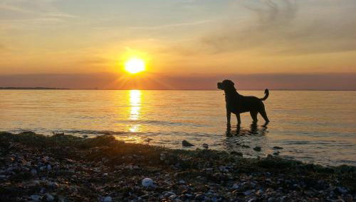 Ferienwohnung Deichkind Büsum - Foto 4