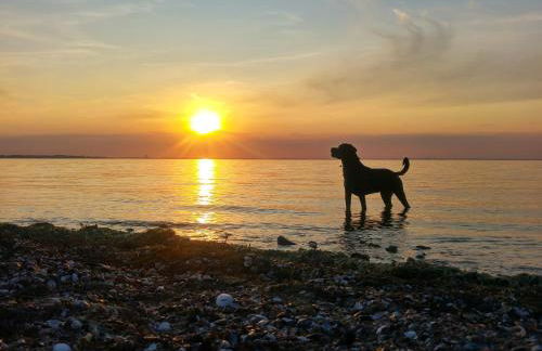 Apartment 21 - Photo 22