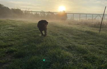 Ferienwohnung Marktstrasse - Foto 33